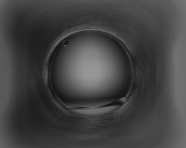 X0000099981511200806061512