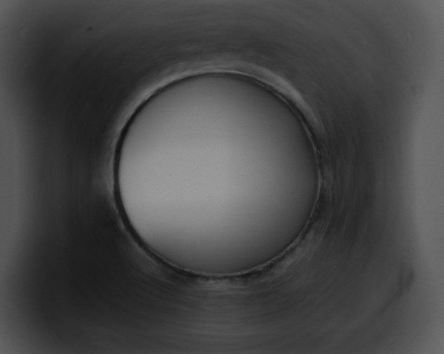 X0000099981512200806061512