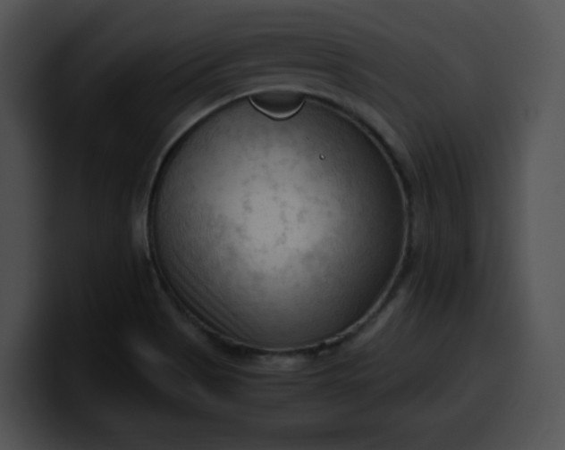 X0000099981513200806061512