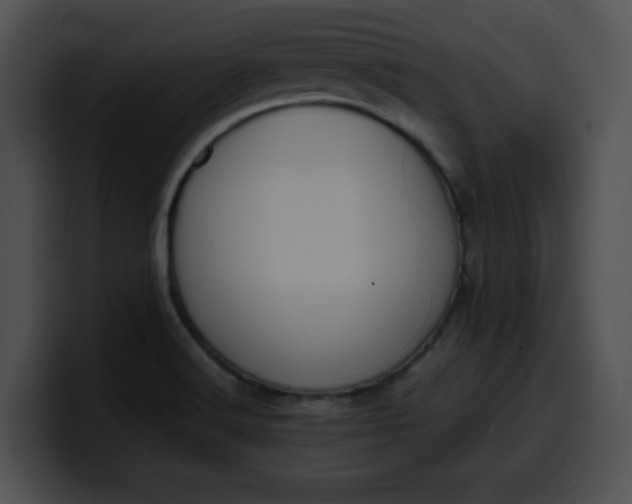 X0000099981516200806061512