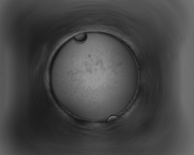 X0000099981517200806061512