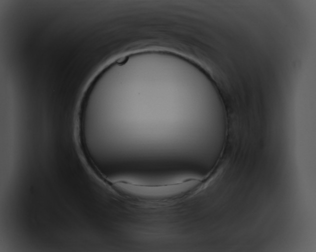 X0000099981518200806061512