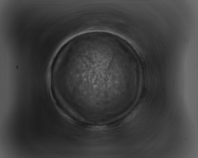 X0000099981519200806061512