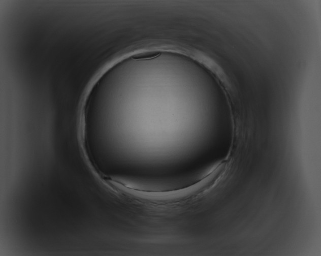 X0000099981520200806061512