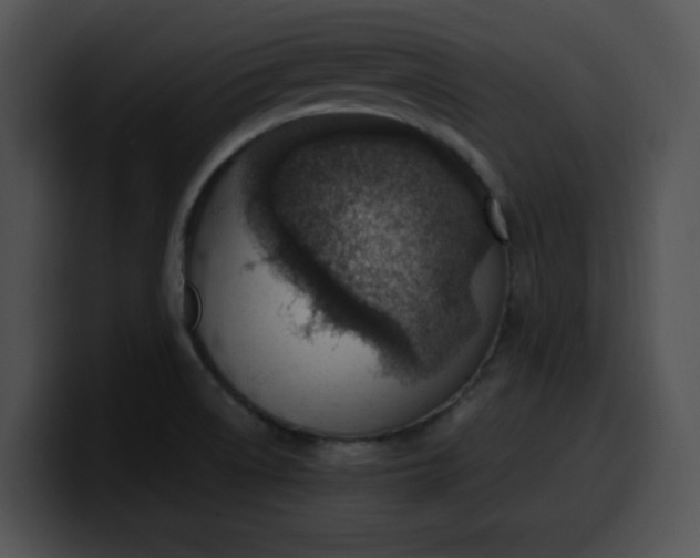 X0000099981522200806061512