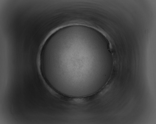 X0000099981523200806061512