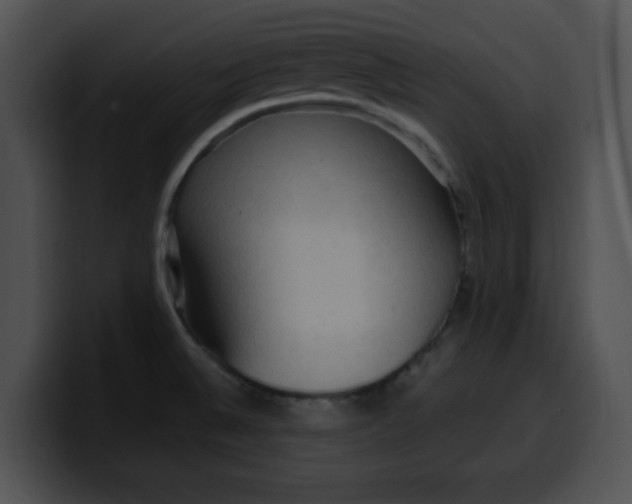 X0000099981524200806061512