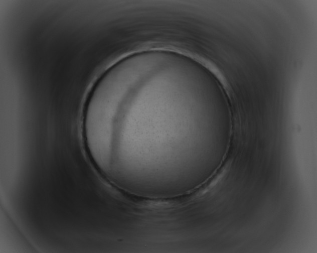 X0000099981525200806061512