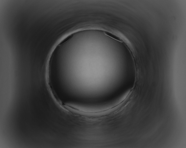 X0000099981528200806061512