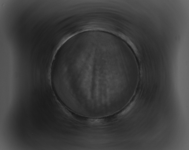 X0000099981529200806061512