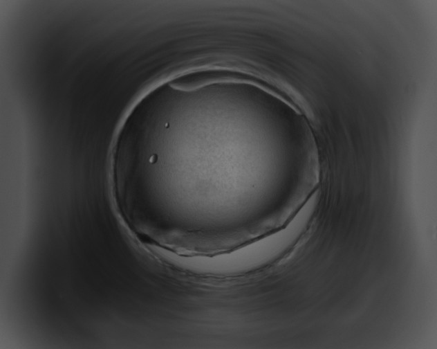 X0000099981530200806061512