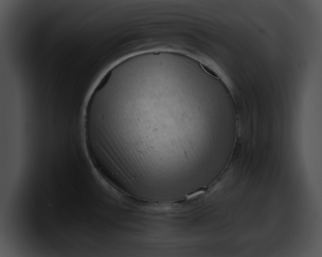 X0000099981532200806061512