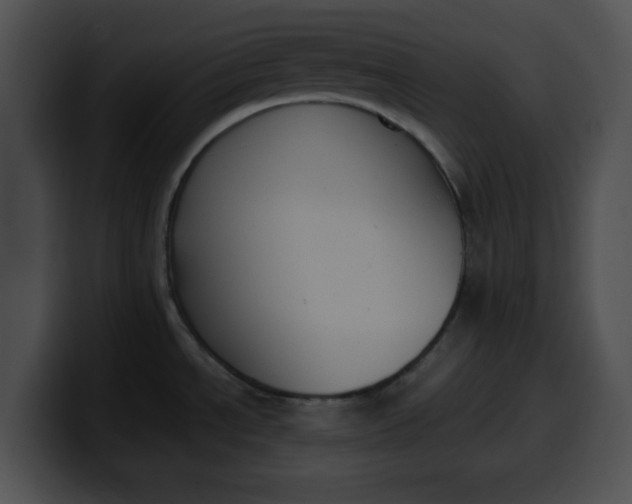 X0000099981534200806061512