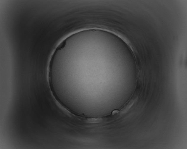 X0000099981535200806061512