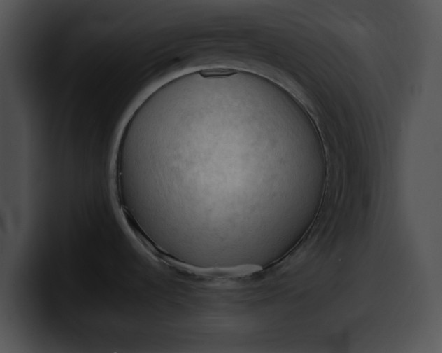 X0000099981536200806061512