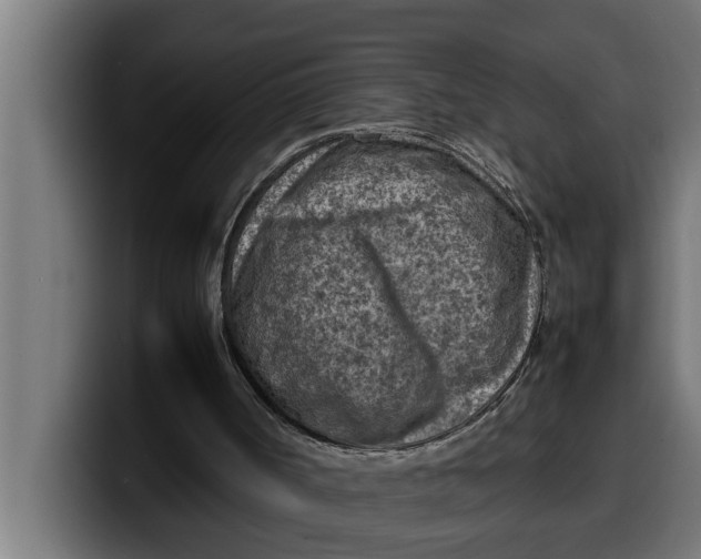 X0000099980002200806131409