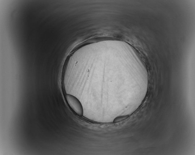 X0000099980003200806131409