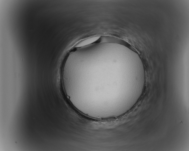 X0000099980005200806131409