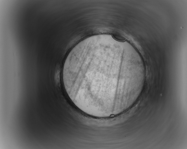 X0000099980010200806131409