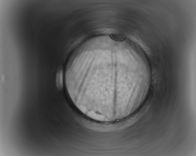 X0000099980014200806131409