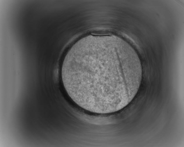 X0000099980016200806131409