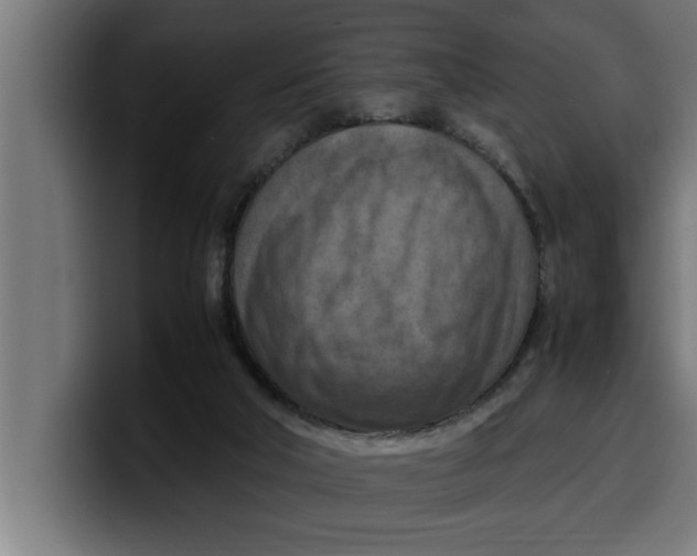 X0000099980018200806131409