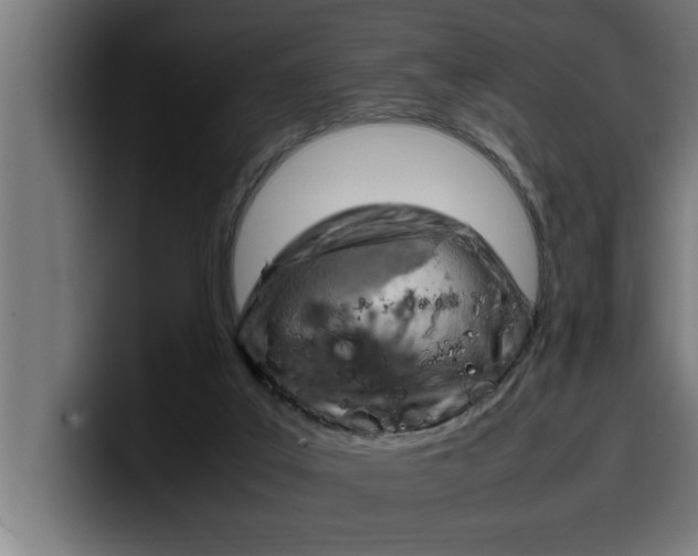 X0000099980019200806131409