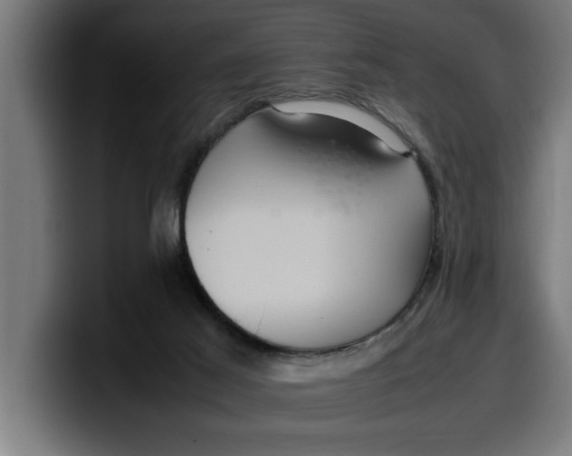 X0000099980021200806131409