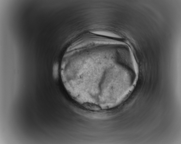 X0000099980024200806131409