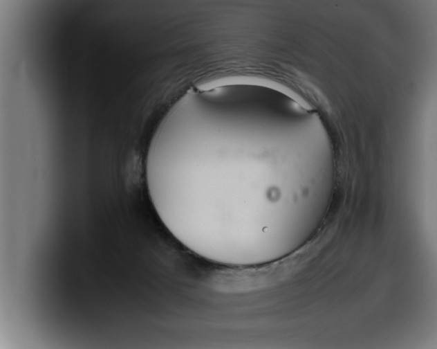 X0000099980025200806131409