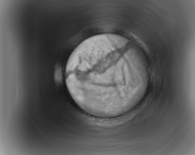 X0000099980026200806131409