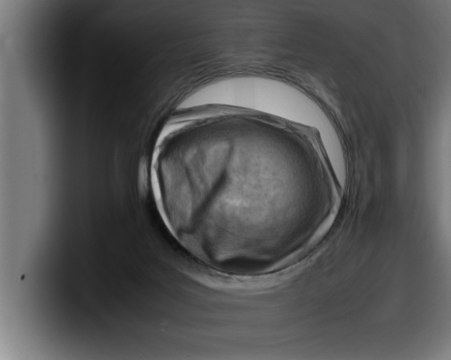 X0000099980027200806131409