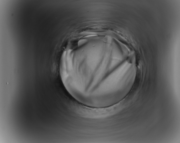 X0000099980031200806131408