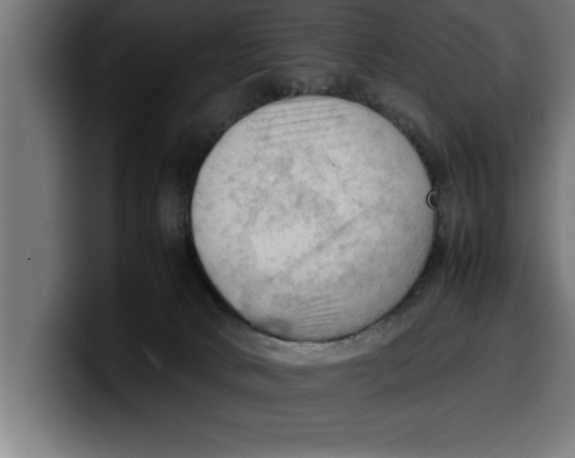 X0000099980034200806131408