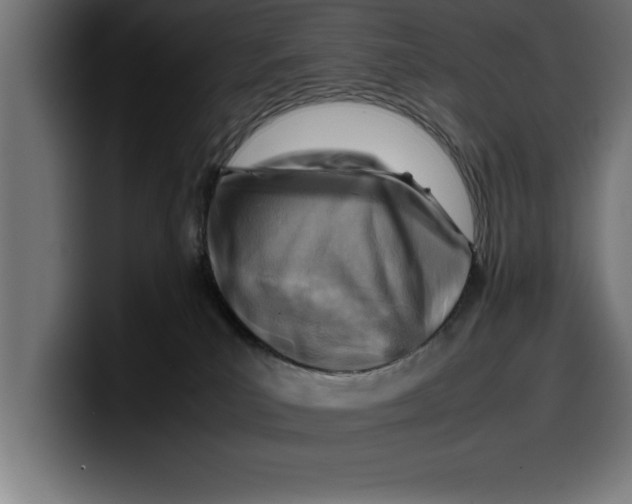 X0000099980039200806131408