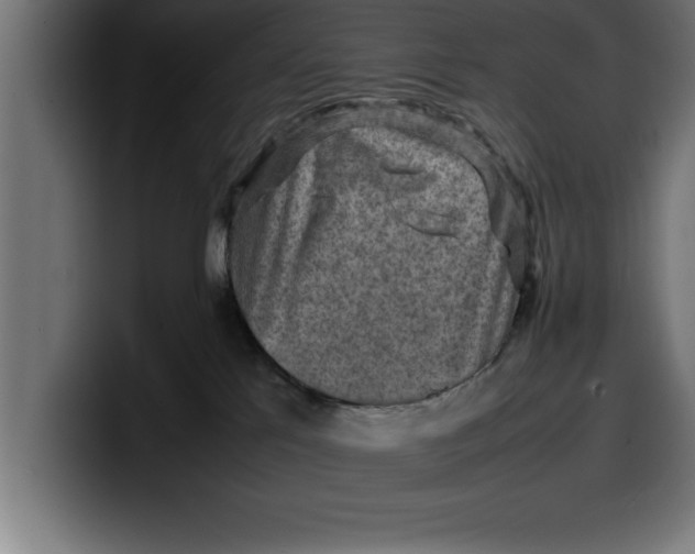 X0000099980041200806131408