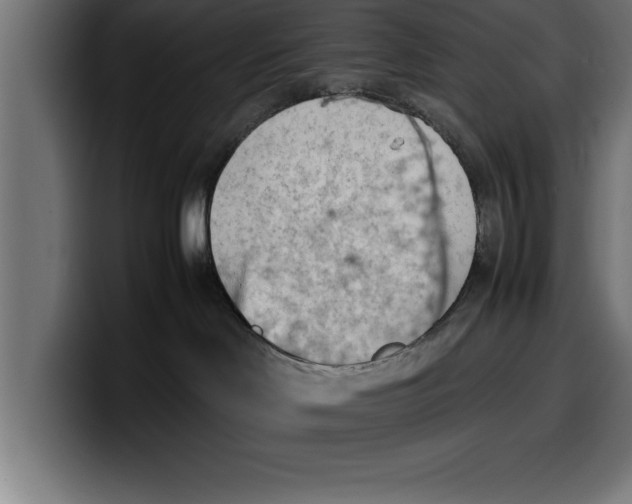 X0000099980046200806131408