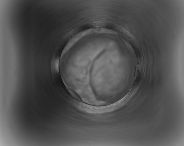 X0000099980047200806131408