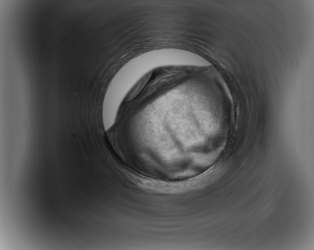 X0000099980048200806131408