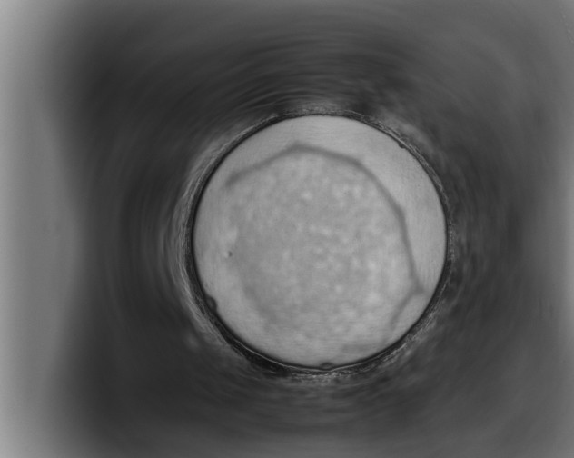 X0000099980049200806131408