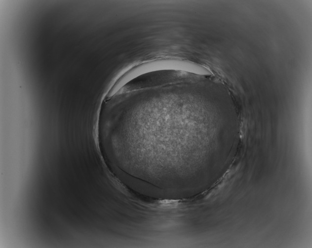 X0000099980052200806131408