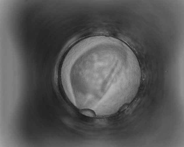 X0000099980053200806131408