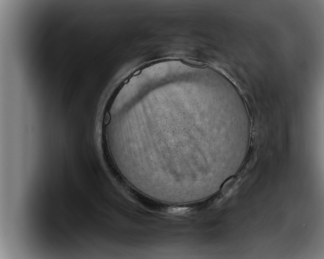 X0000099980055200806131408