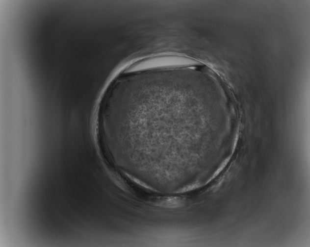 X0000099980056200806131408