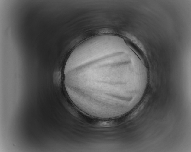 X0000099980057200806131408