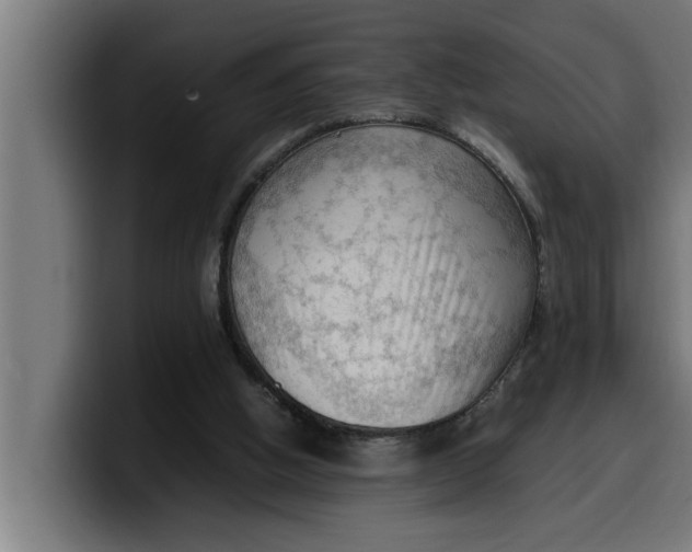 X0000099980058200806131408