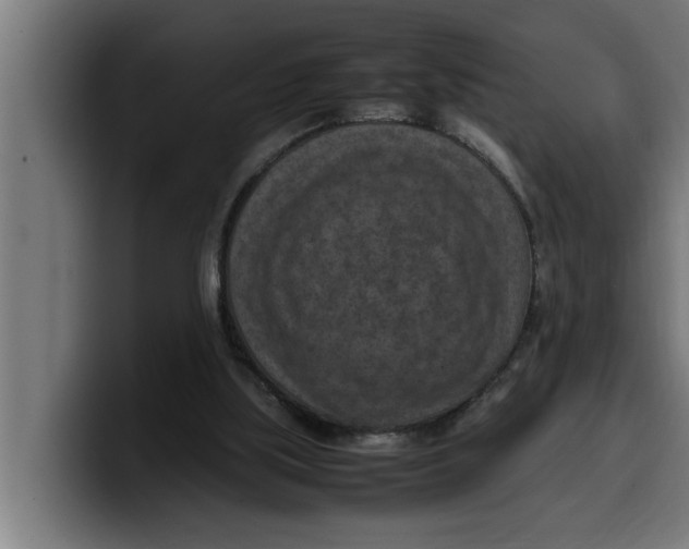 X0000099980059200806131408