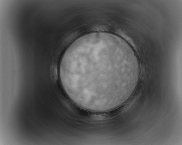 X0000099980061200806131408