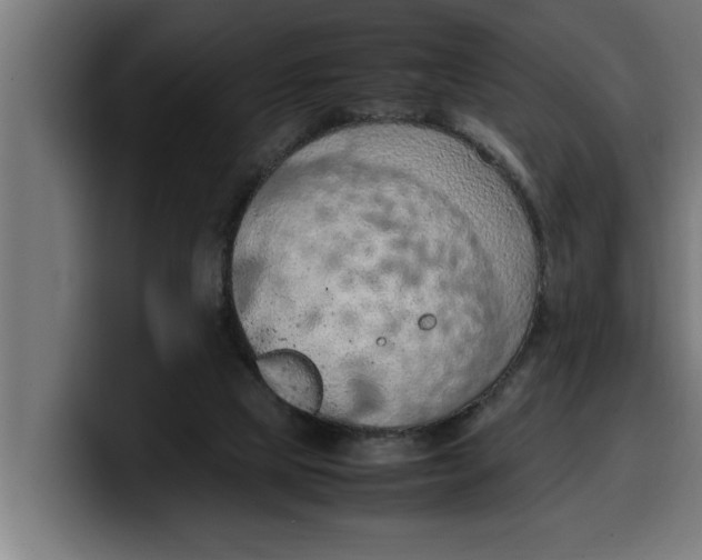 X0000099980065200806131408