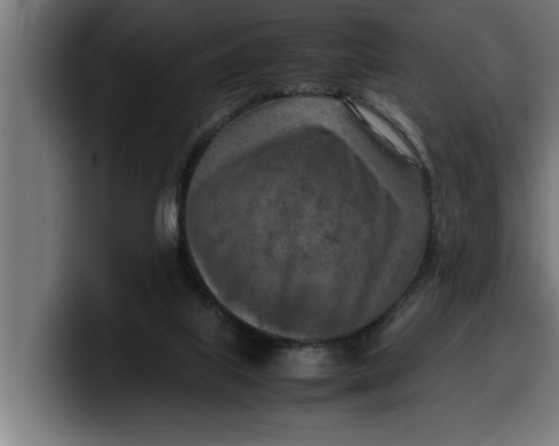 X0000099980067200806131408